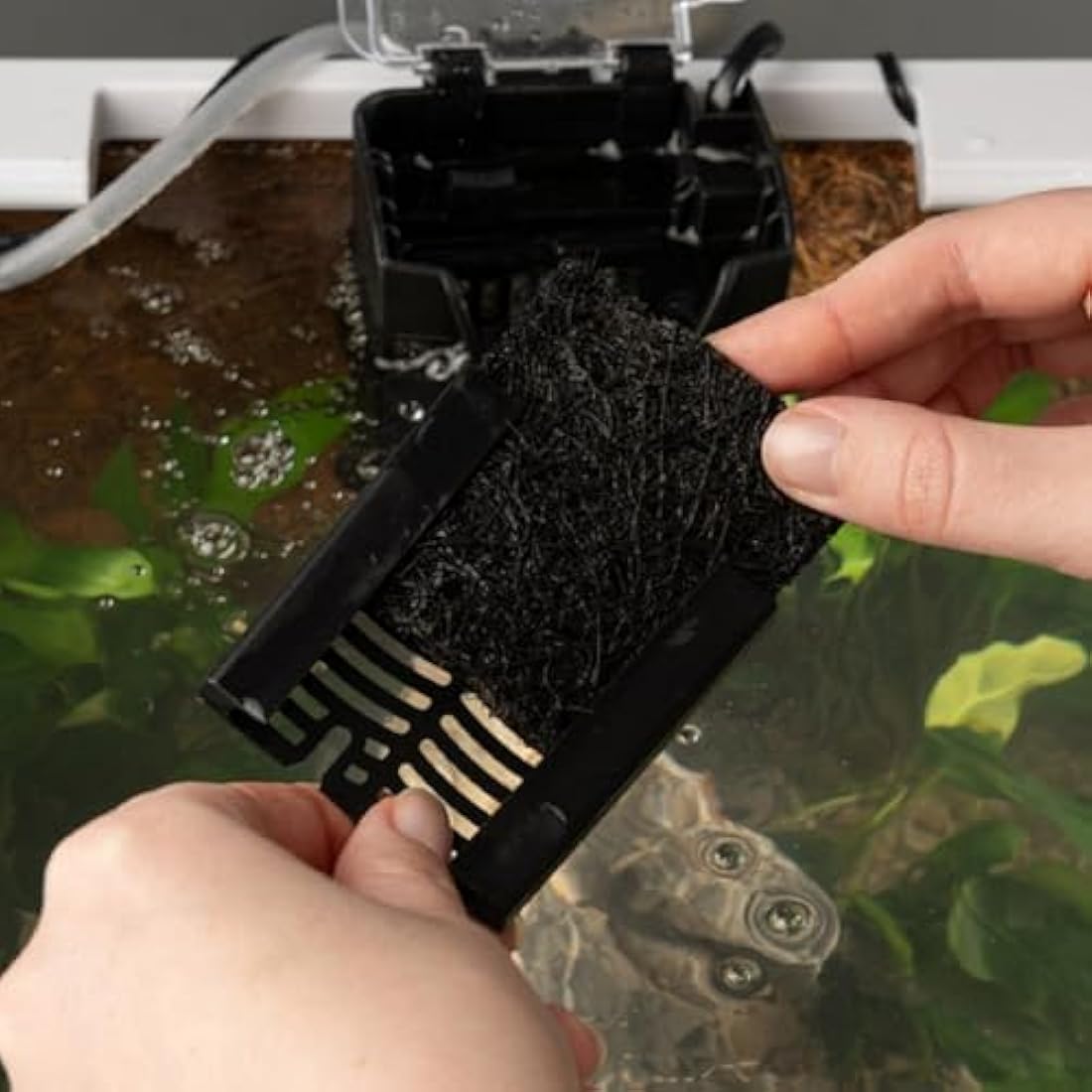 Interpet 3 Month Service Pack for the Interpet Internal Cartridge Filter CF 2 (3 x Front Coir Tech Cartridge, 3 x Back Coir Tech Cartridge)