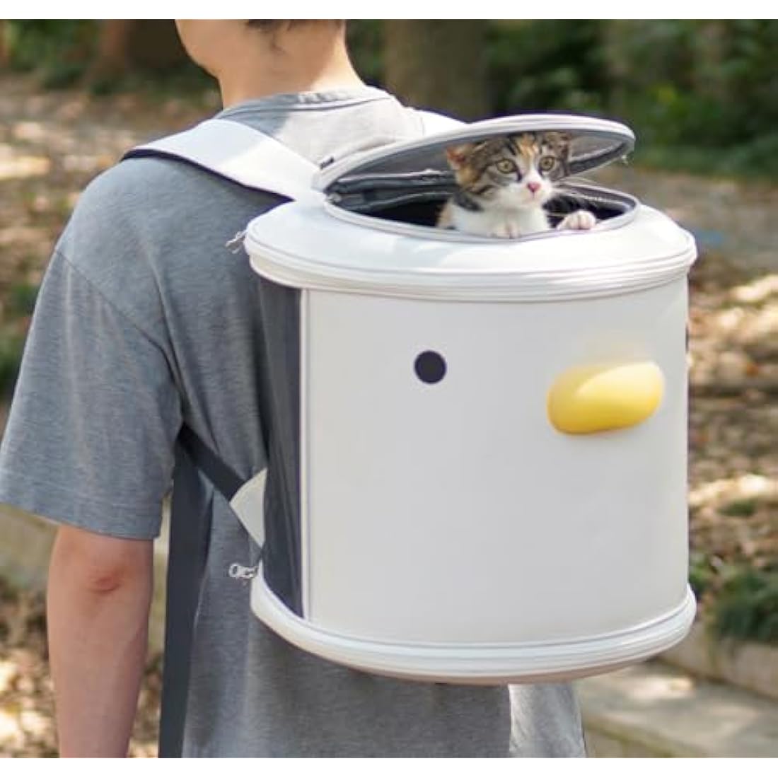 PURROOM Cat Carrier Backpack, Pet Backpacks for Carrying Small Dogs, Cute Design. Upper Cover & Side Ventilation Soft Mesh & Safety Straps. Used for Travel, Hiking, Car, Go to Vet, Outdoor.