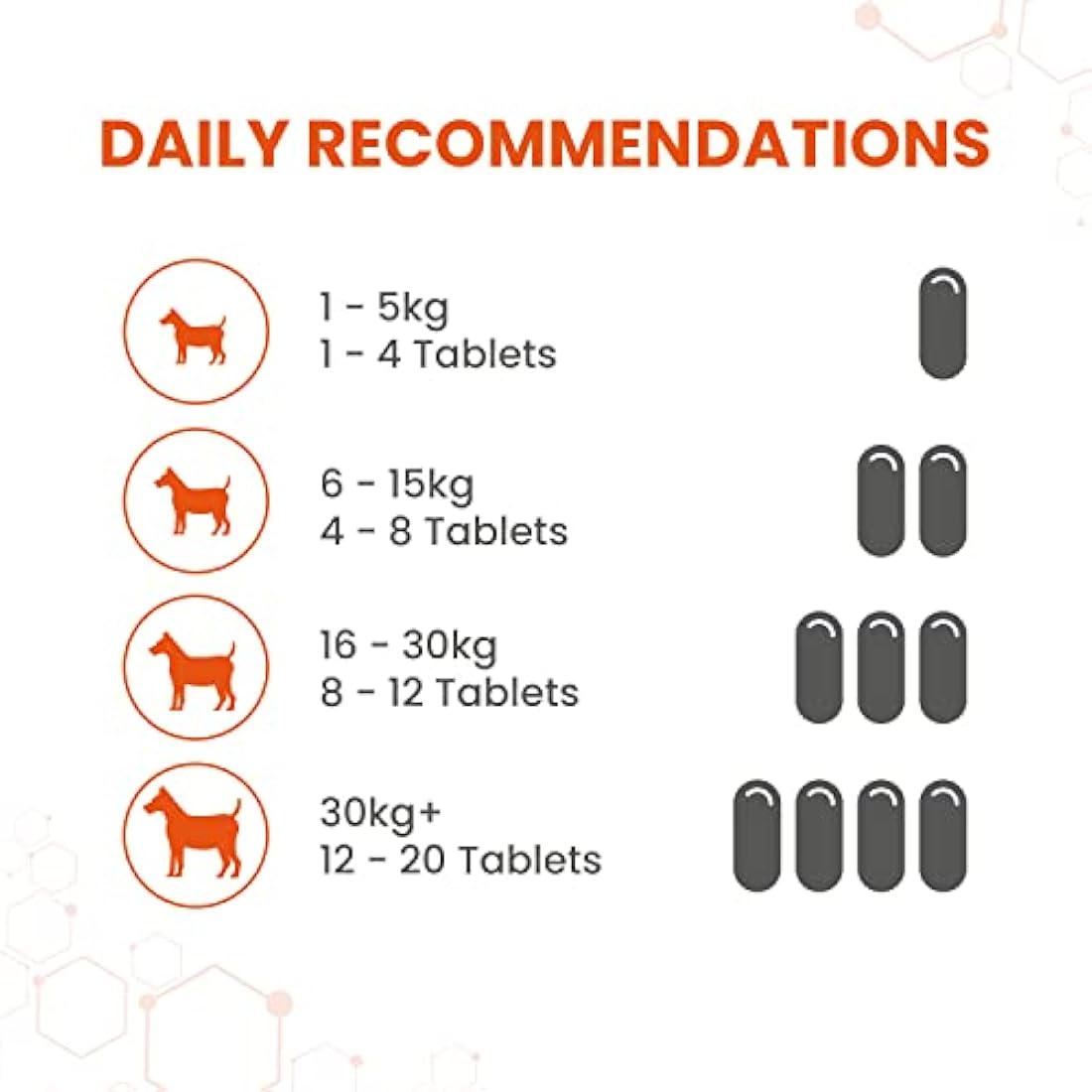 Vetzyme Once A Day Conditioning Tablets for Dogs (240 Tablets) - With B Complex Vitamins to Promote Fitness and Support a Healthy Immune System