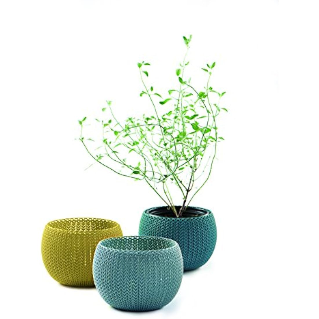 Keter Knit Cozies Indoor/Outdoor Garden Plant Pots Planters - Multi-Colour, Set of 3
