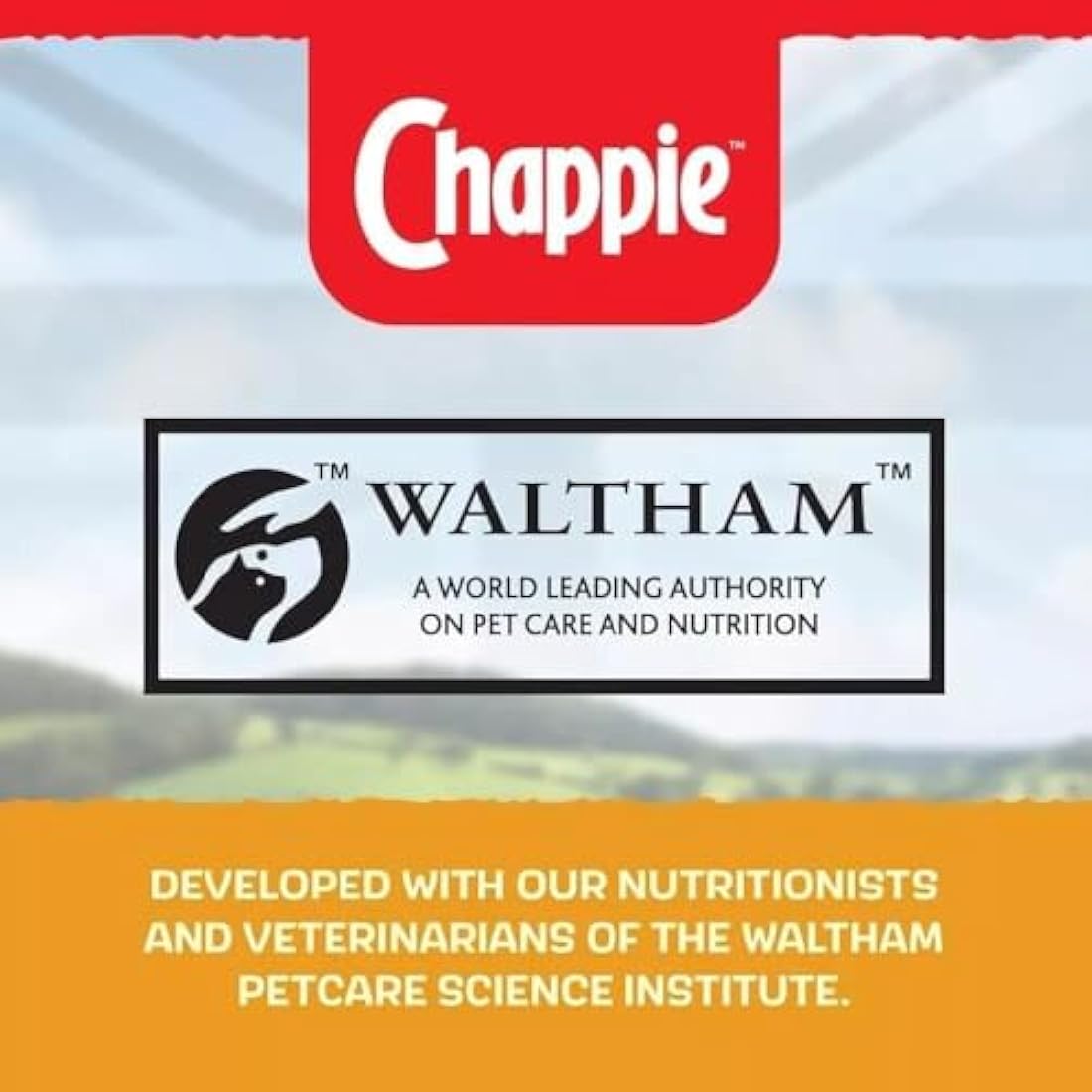 Chappie Complete Original 15 kg