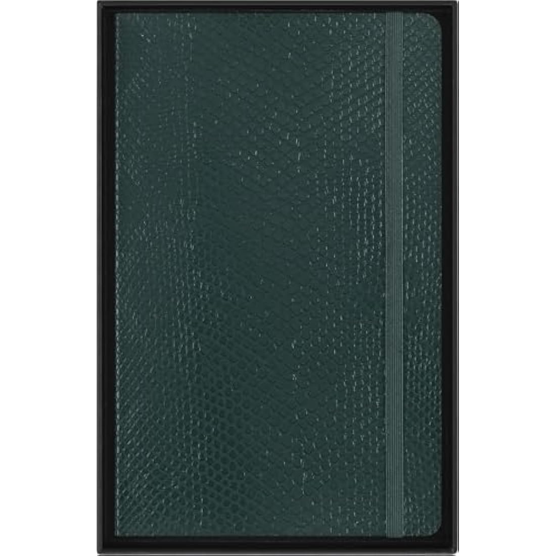 Moleskine Precious & Ethical Notebook, with Gift Box, Vegan Soft Cover Python-Effect, Elastic Closure, Large Format 13x21 cm, Colour Green