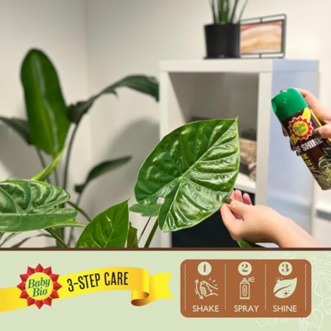 Baby Bio 84899143 Leaf Shine, 200ml - Ready To Use Houseplant Care - Aerosol Spray for a Natural Long Lasting and Healthy Shine - Removes Dust from Plant Leaves - Prevents Yellowing