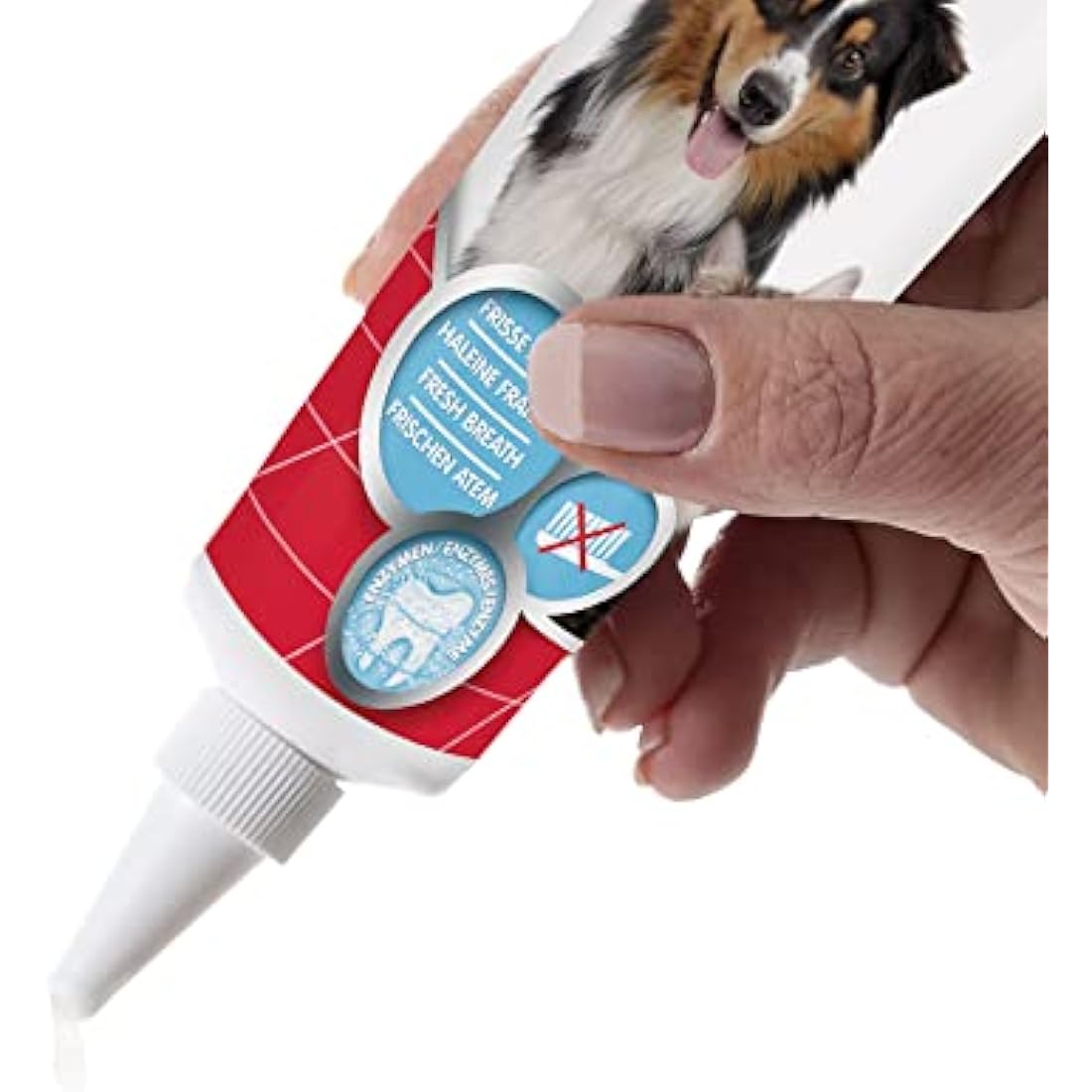 Beaphar | Advanced-Enzyme Toothgel | Dental Care Dogs & Cats | Non-Brush Alternative | Helps Prevent Bad Breath & Combat Plaque | 100g Tube