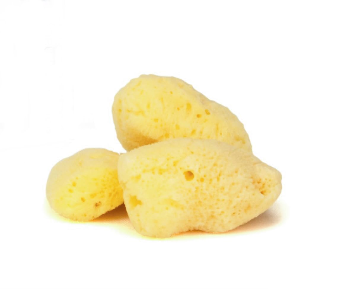 IntimateCare Sea Sponges. Mediterranean Sea Sponges in Plastic Free Packaging. Absolute Quality. (Golden Yellow, 3X 5.5-6.5cm / 2-2.5in)