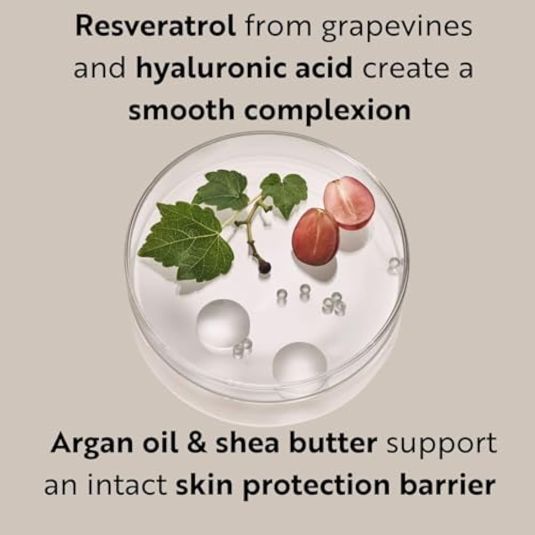 M. Asam Resveratrol Premium Lifting Cream (50ml) - Anti-Aging Face Moisturiser, Resveratrol Day and Night Cream, Hydrating Skin Care with Peptides, Vegan Face Cream