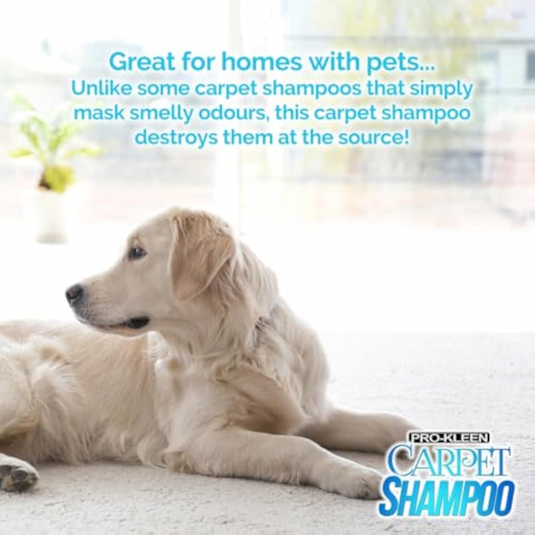 Pro-Kleen Professional Carpet & Upholstery Shampoo – Ocean Fresh Fragrance 5L - High Concentrate Cleaning Solution - Suitable for All Machines