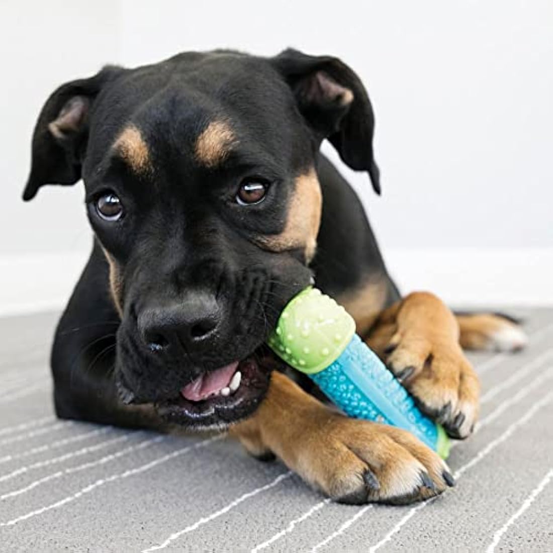 KONG - CoreStrength Bone - Long Lasting Dog Dental and Chew Toy - For Small/Medium Dogs