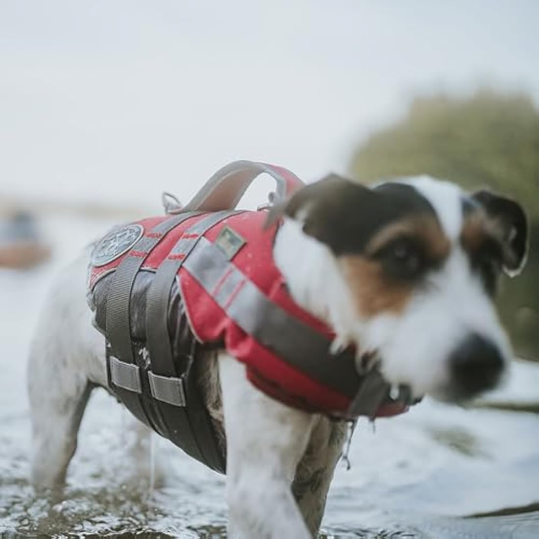 HUNTER Moss Swimming Vest, 46 - 55 cm, Small, Red