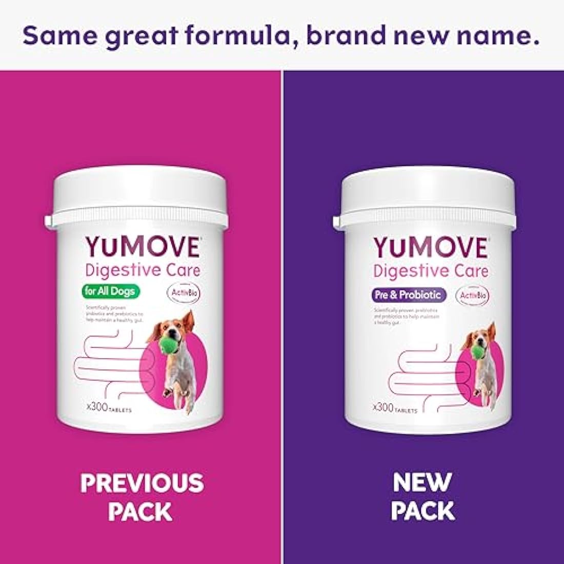YuMOVE Digestive Care, Dog Pre and Probiotics Supplement for Gut Health and Digestive Support, All Ages and Breeds with Sensitive Digestion, 300 Tablets