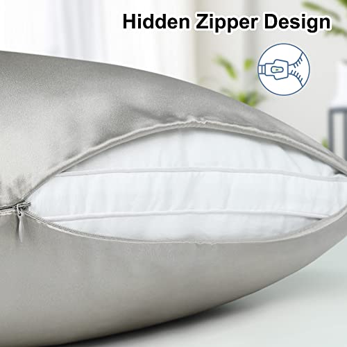 tenn well 2 Pack Mulberry Silk Pillowcase for Hair and Skin, Both Sides 100% Pure Silk Pillowcase 19 Momme Soft Smooth Pillow Case with Hidden Zipper