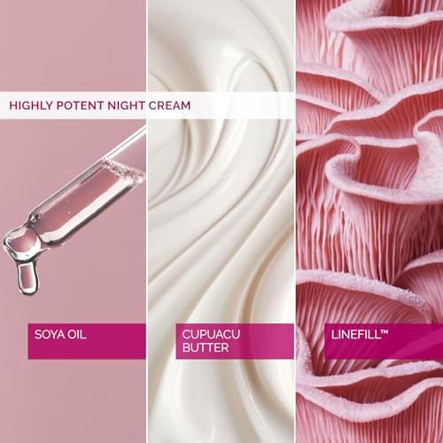 SkinSense Highly Potent Night Cream 50ml, Night Cream for Face, Anti-Ageing Face Lotion for Women, Moisturiser for Brighter skin, Advanced Anti Wrinkle Cream