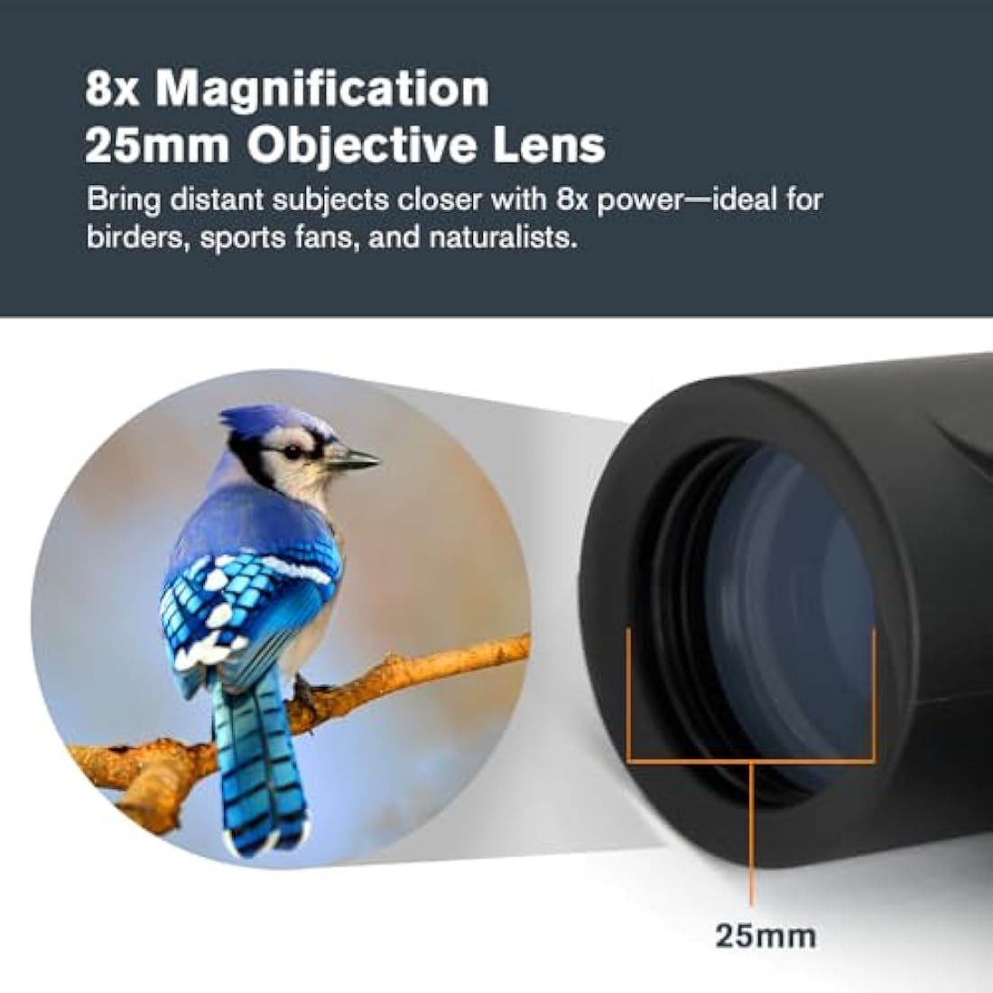 Celestron 71340 Outland X 8x25 Compact Roof Prism Binoculars, Black