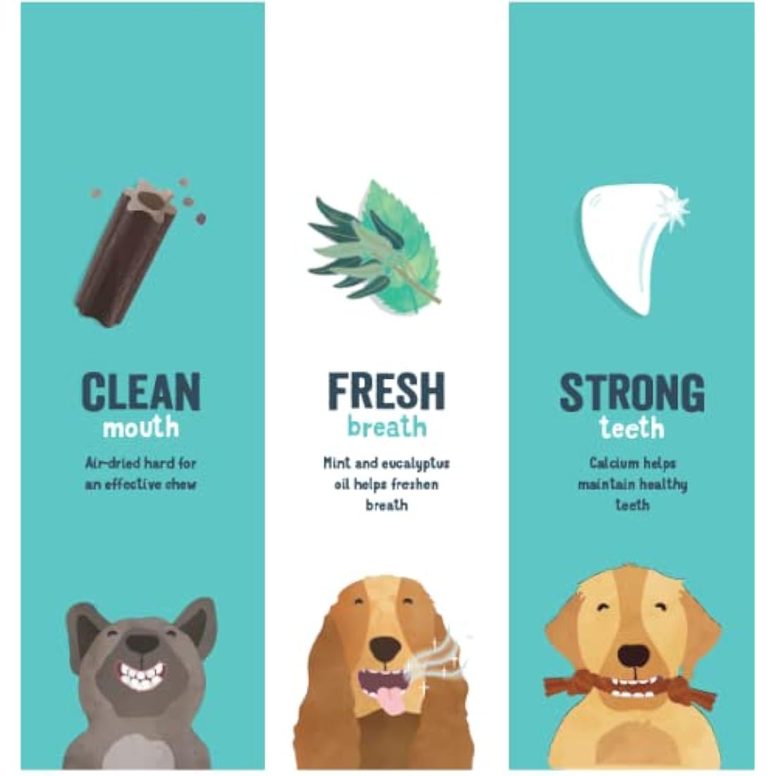 Edgard Cooper Treats Dental Stick, Medium - Eucalyptus & Apple - (8 x 7 stick pack), Natural Dog Chew Sticks, Dental Hygiene, One per Day, Low Calorie, Long Chewing, Fresh Breath