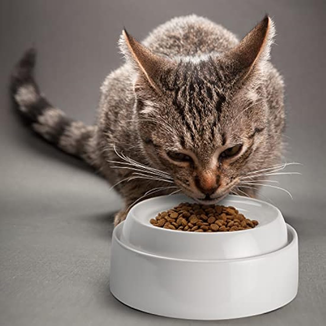 CatGuru Cat Bowls, Whisker Stress Free Cat Food Bowl, Reliefs Whisker Fatigue, Wide Cat Bowl, Non Slip Cat Food Bowls, Shallow Cat Dish, Cat Feeding & Watering Supplies (Set of 2, Ceramic, White)