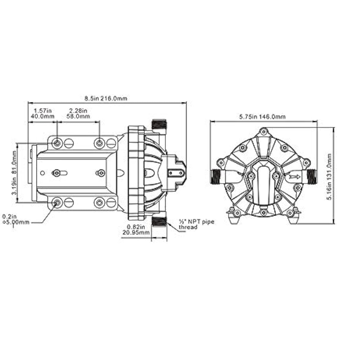 Seaflo 55-Series Diaphragm Pump - 12V DC, 5.5 GPM, 60 PSI with HEAVY DUTY PRESSURE SWITCH