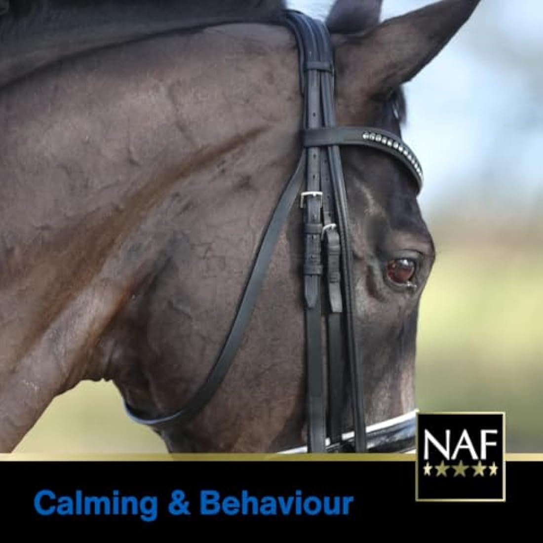 NAF Five Star Oestress 500g – Hormonal Support Supplement for Mares – With Chasteberry, Magnesium & Soothing Herbs – Promotes Calm Behaviour & Seasonal Comfort