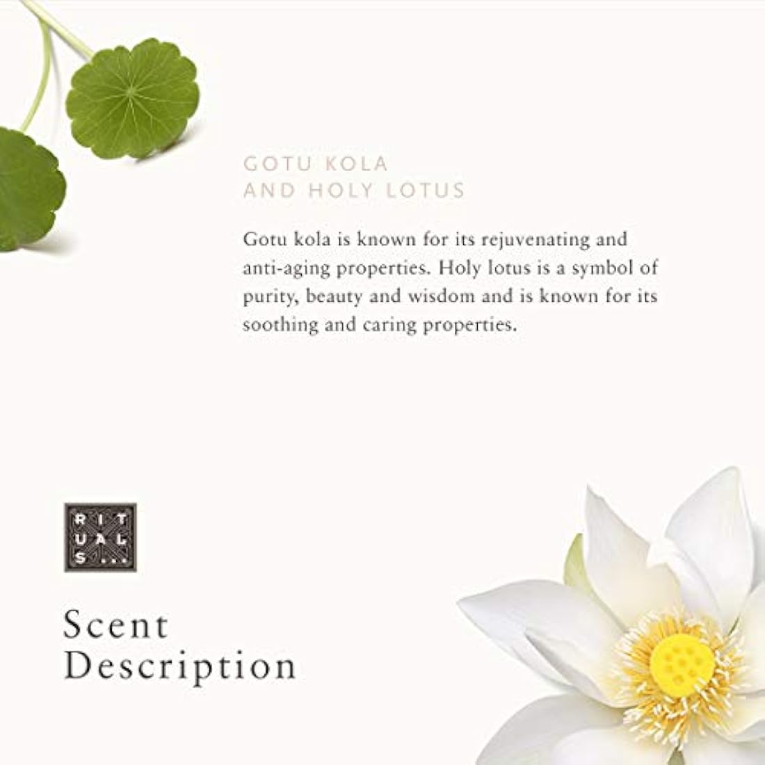 RITUALS The Ritual of Namasté Active Firming Day Cream, Ageless Collection, 50 ml