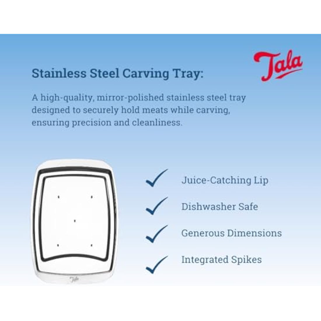 Tala Performance Stainless Steel Carving Tray, with 5 Spikes to Hold Meat Whilst Carving, 35.5cm x 25 cm