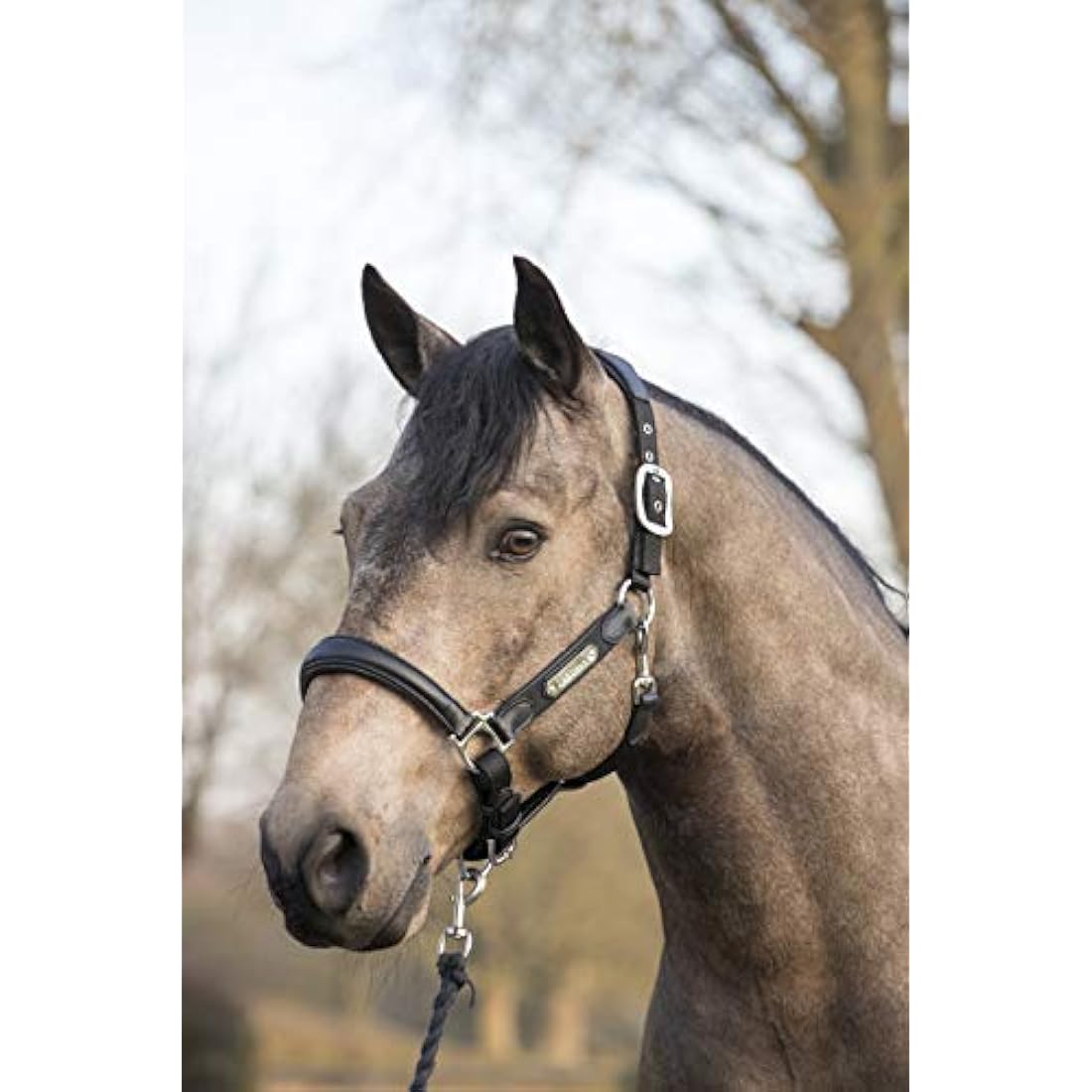 LeMieux Capella Headcollar for Horses - Leather/Nylon - Pressure Relief & Soft Touch