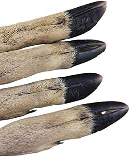 Hairy deer leg