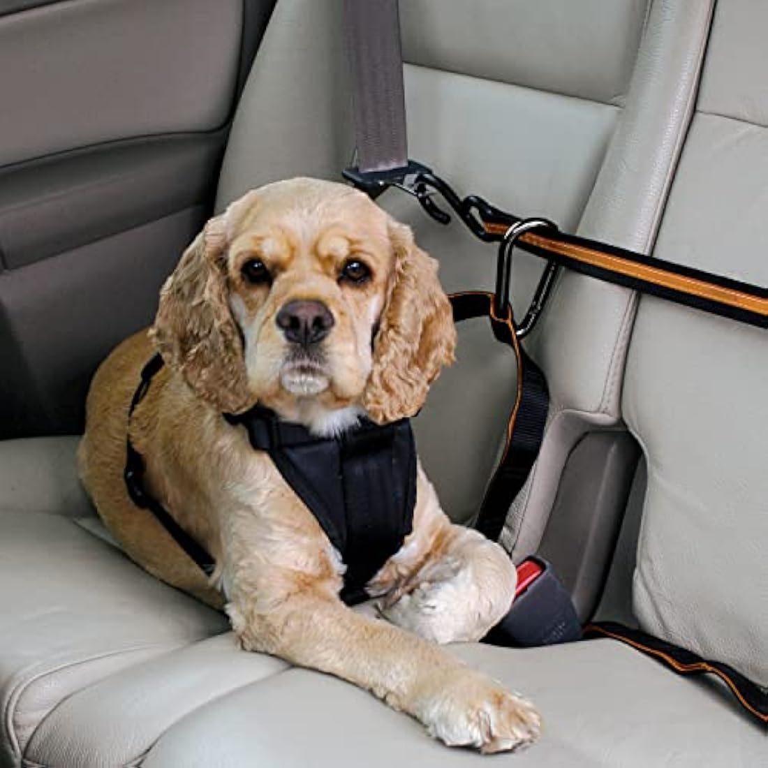 Kurgo Auto ZipLine for Dogs, Dog Safety Restraint for Car, Boat or Campsite, Quick & Easy Installation, Adjustable Length, Black/Orange