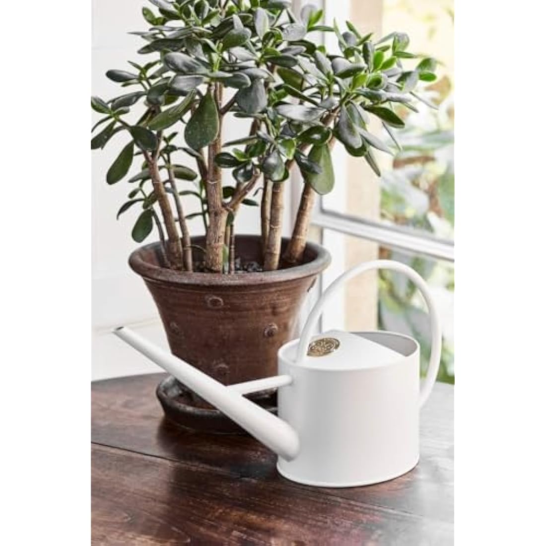 Burgon & Ball Indoor Long Reach Watering Can, 1.7 Litre Capacity, Buttermilk Cream