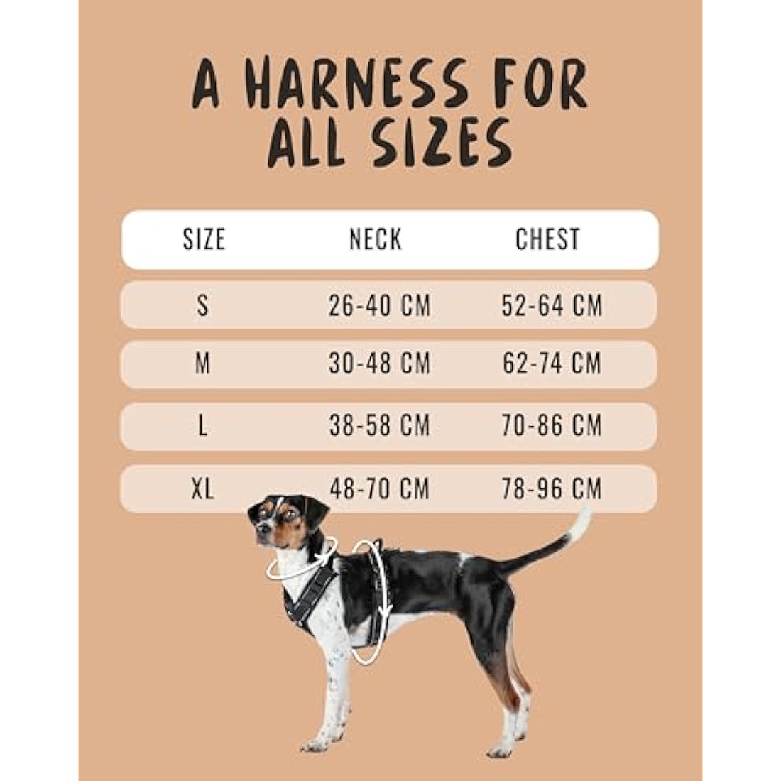 Rudelkönig dog harness Paola - Reflective Chest Harness with Handle - Adjustable medium no pull harness for dogs - For medium dogs