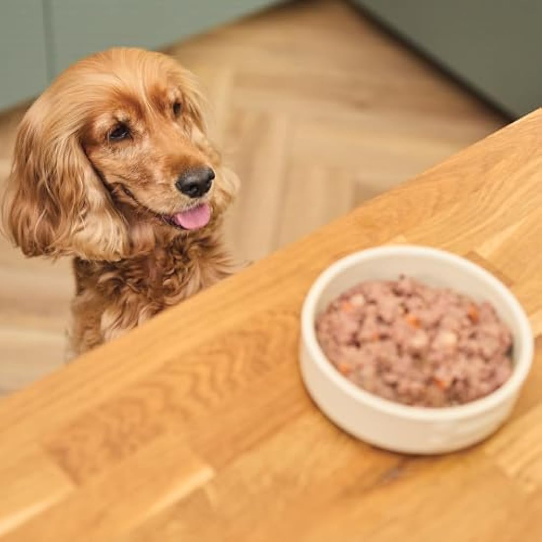 Lily's Kitchen Made with Natural Ingredients Adult Wet Dog Food Tin An English Garden Party 6 x 400g