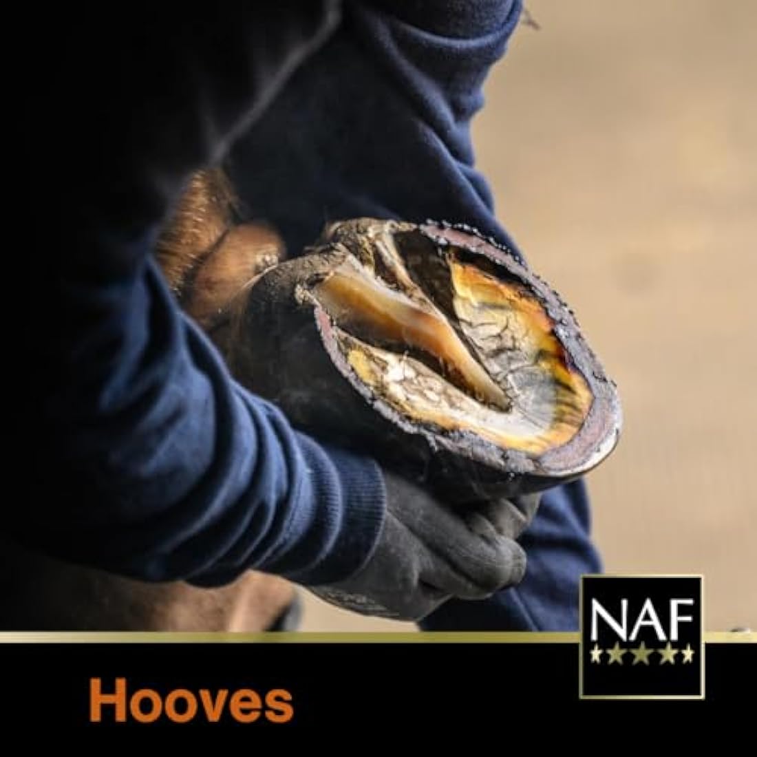 NAF Profeet Farrier Hoof Dressing 2.5kg – Professional Daily Hoof Conditioner – Supports Horn Health, Hydration & Growth – With Natural Oils & Nutrients