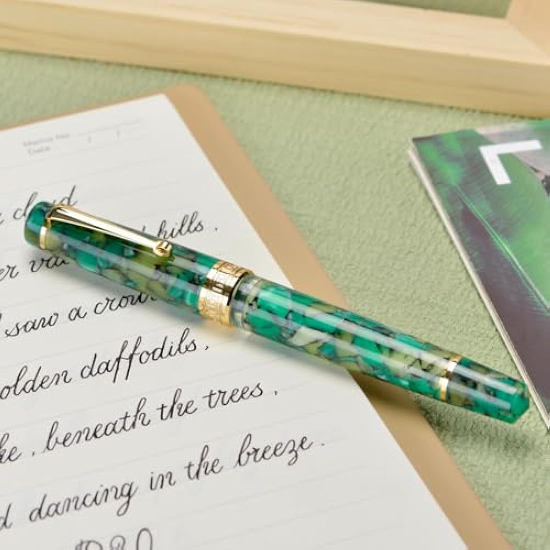 Asvine P20 Piston Fountain Pen Green Marble Acrylic, Medium Nib Gold Trim Smooth Writer Collection with Case Set