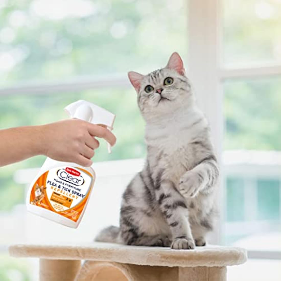 Bob Martin Clear Flea Repellent Spray for the Home and Cats - Controls Flea and Tick Infestations in the Household (300ml)