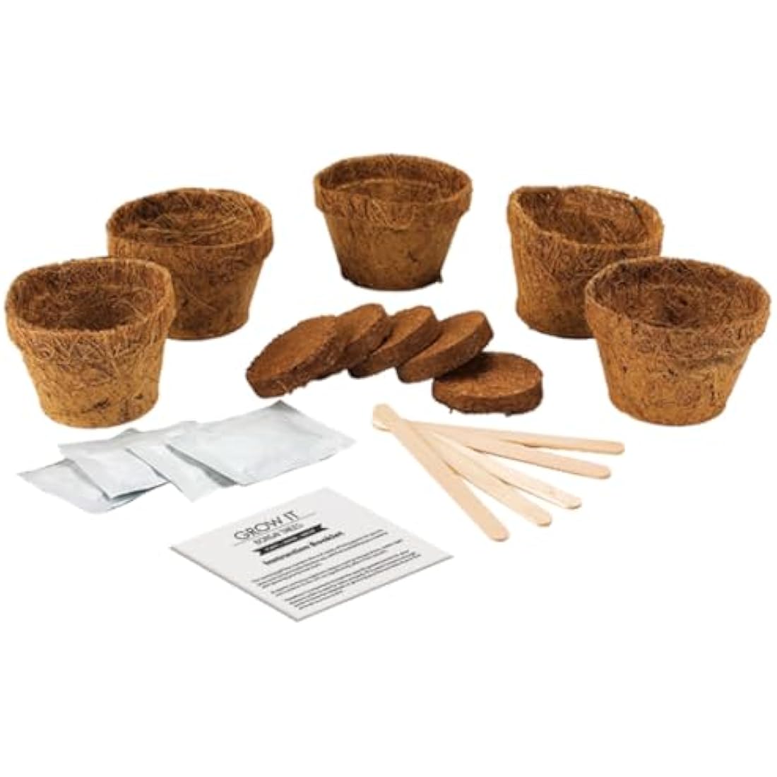 Gift Republic GR200006 : Grow It. Grow Your Own Bonsai Trees, 12.0 cm*12.0 cm*12.0 cm