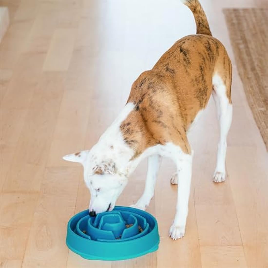 Outward Hound Slow Feeder Dog Bowl - Makes Meal Time Fun, Slows Down Eating, Promotes Healthy Digestion, Prevents Bloat | Slip Resistant and Durable, Food and Water Bowl, Size Large (Turquoise)