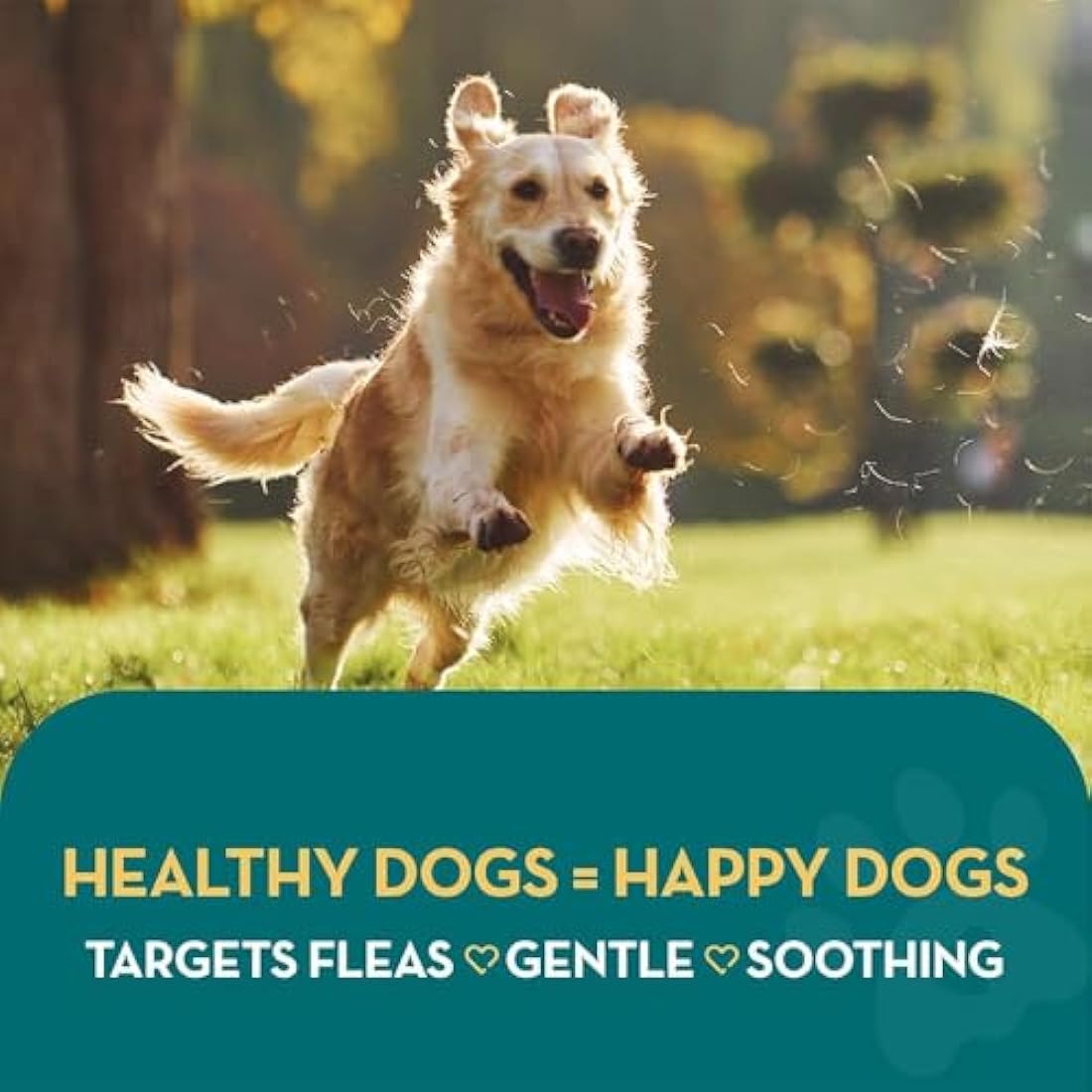 The Healthy Dog and Cat Co Natural Flea Spray 500ml – Fast-Acting, Non-Toxic Flea Spray for Dogs, Cats & Home – Safe & Effective UK Formula & Natural Treatment