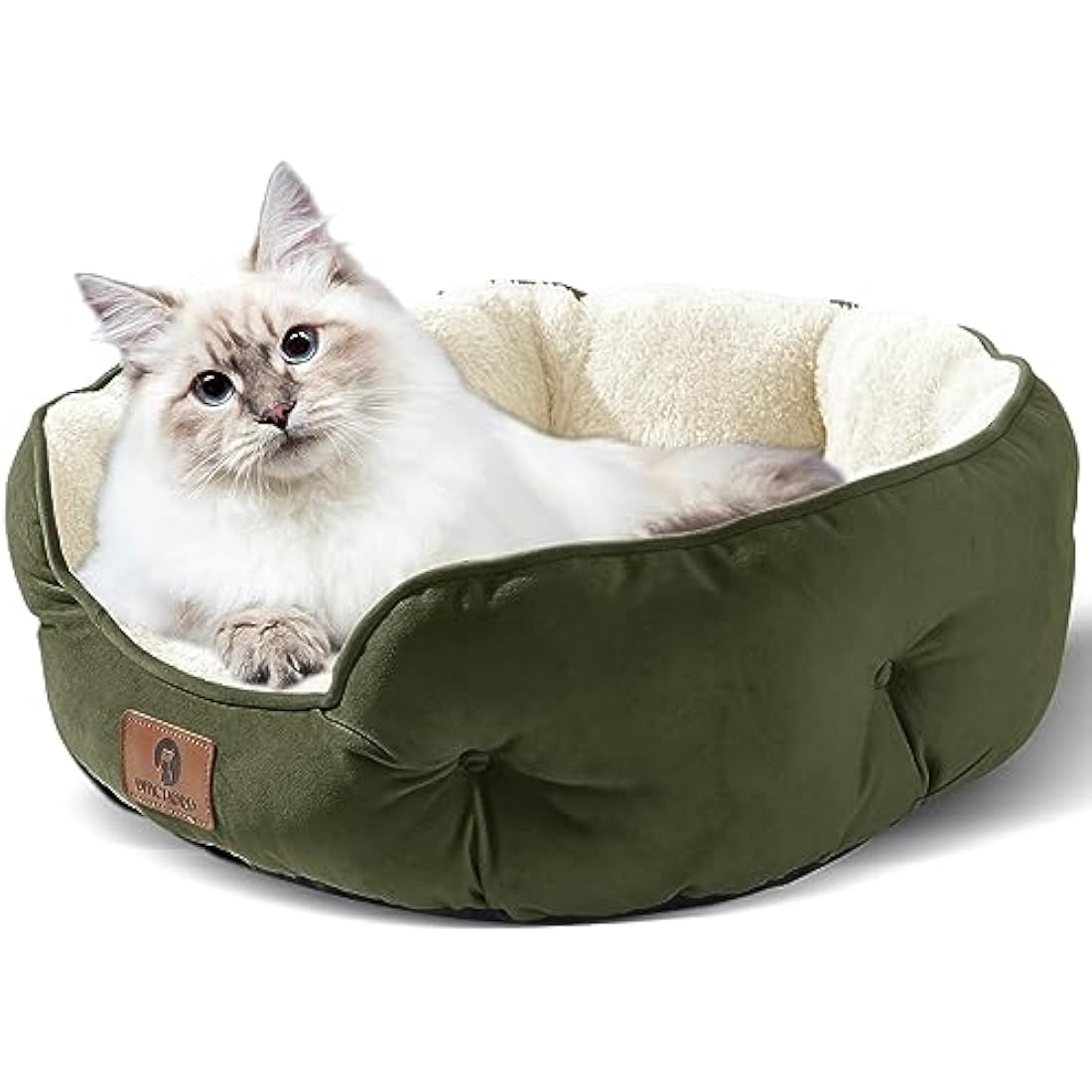 Asvin Medium Dog Bed for Medium Dogs, Cat Beds for Indoor Cats, Pet Bed for Puppy and Kitty, Extra Soft & Machine Washable with Anti-Slip & Water-Resistant Oxford Bottom, Green, 25 inches