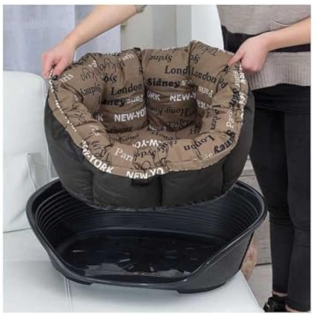 Ferplast Plastic Dog and Cat Bed with Padded Dog and Cat Cushion SOFA' Dog Bed with Padded Cushion, Washable, 64 x 48 x 25 cm