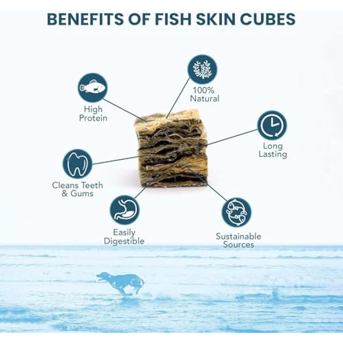 SKIPPER'S Fish Skin Jerky Cubes - Gently Air Dried Dog Treats, Healthy & Natural Treat for Dogs, Hypoallergenic Grain Free, High in Protein & Low Fat | Great for Teeth (Cube Size Extra Small,1kg Pack)