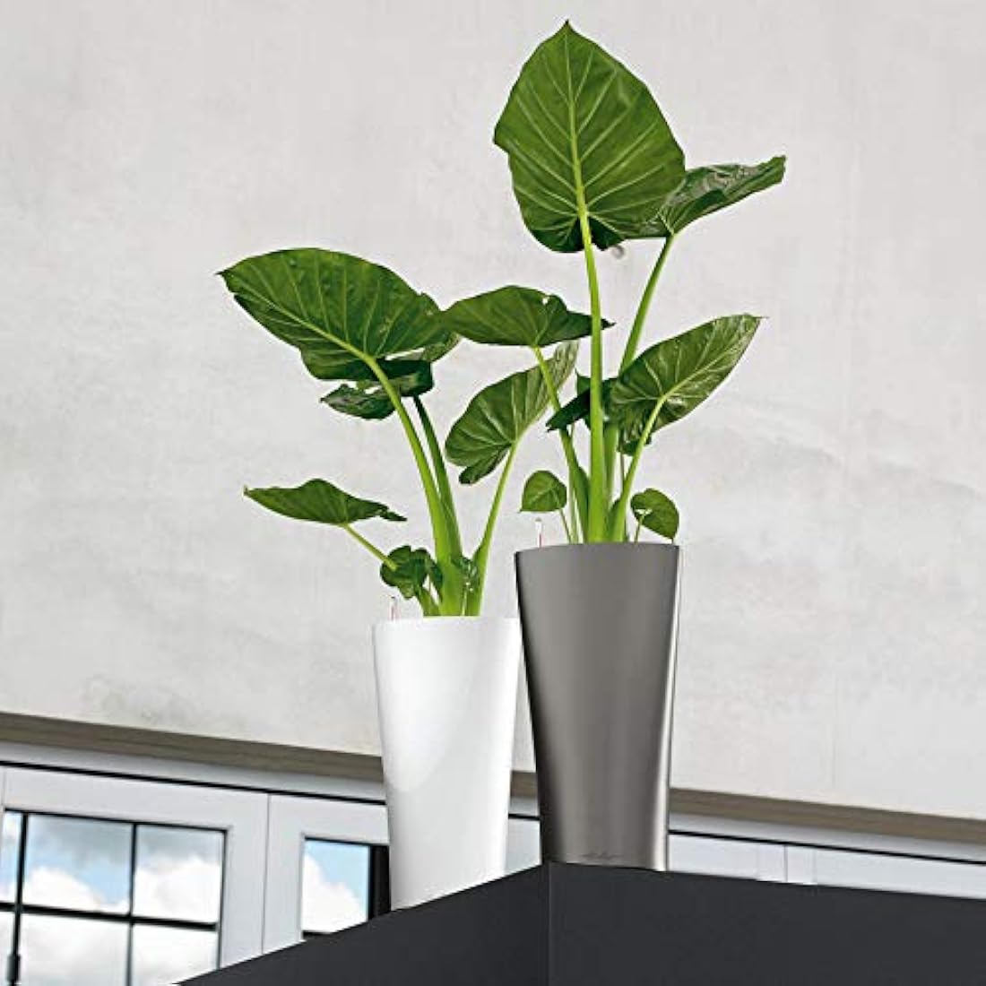 Lechuza Self Watering Plant Pot DELTA 40 Garden Flower Indoor and Outdoor Tall Plastic Planter with Drainage Hole D40 H75 cm White High-Gloss