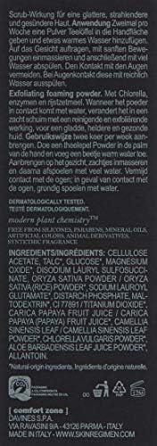 Skin Regimen Exfoliatiing & Cleansing Enzymatic Powder, 55g