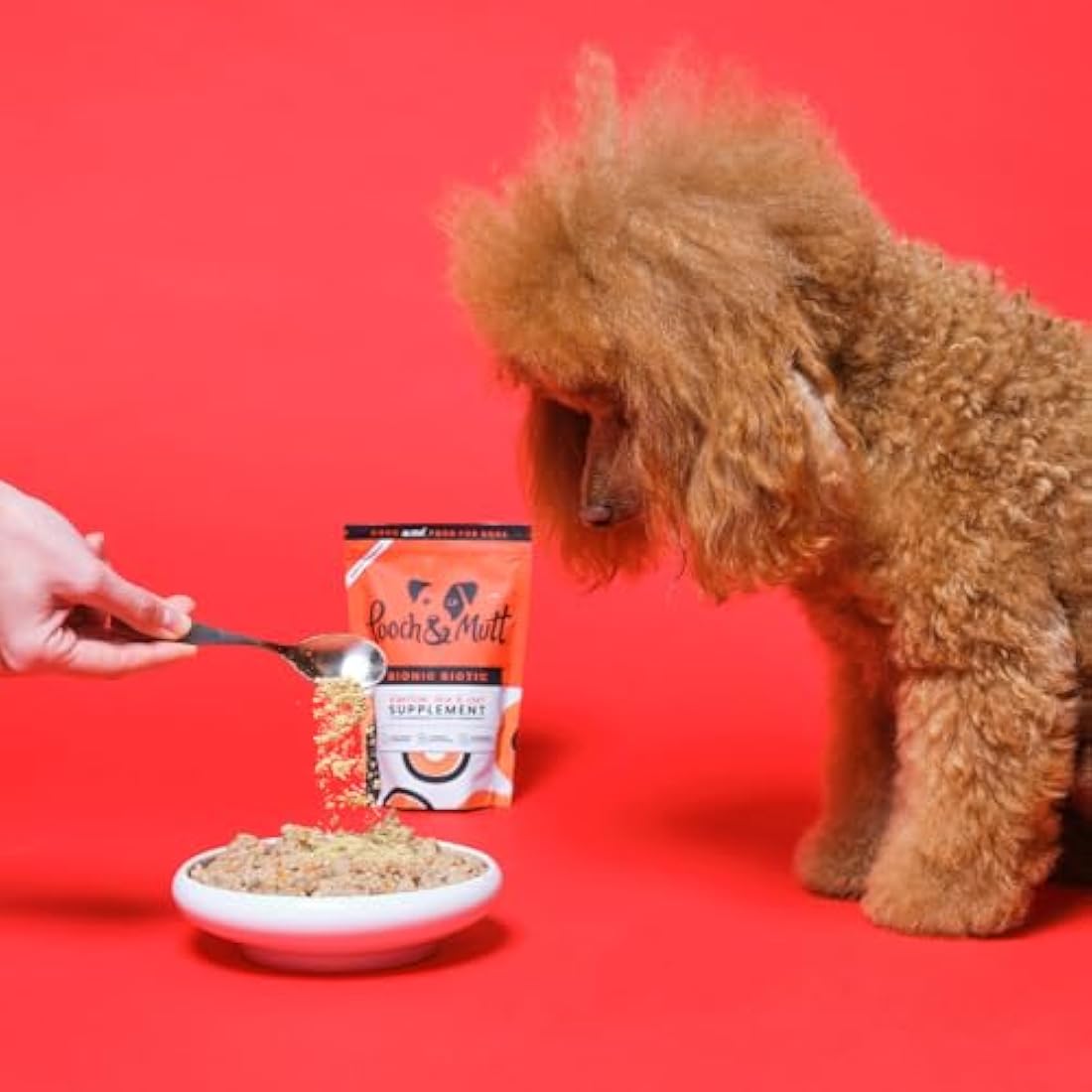 Pooch & Mutt - Bionic Biotic, Supplement for Dog Digestion (Healthy Skin and Glossy Coat), 200g