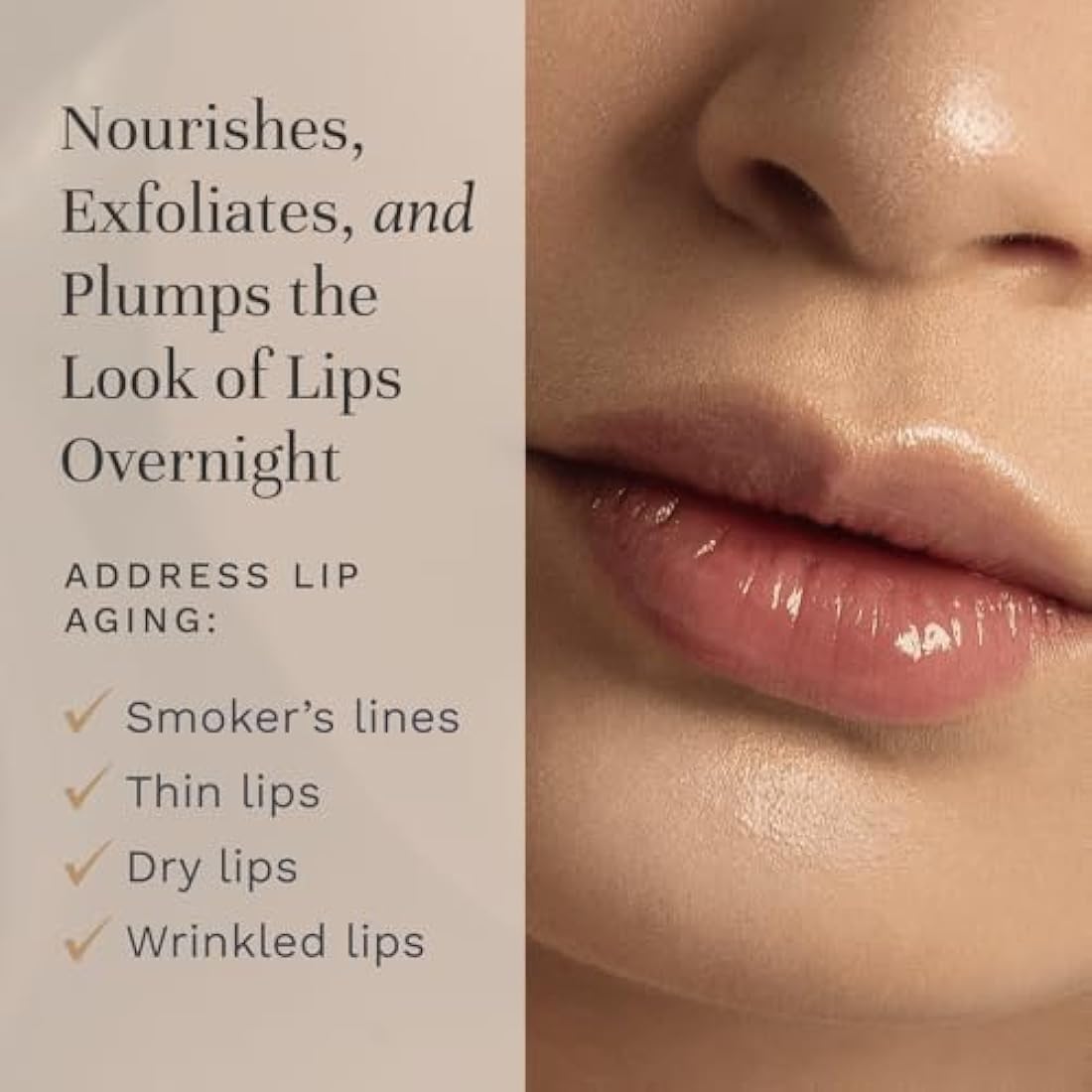 City Beauty City Lips Night Oil - Plump, Hydrate, and Restore Overnight - Anti-Aging Lip Treatment - Conditioning Lip Oil with Hyaluronic Acid & Plant Extracts
