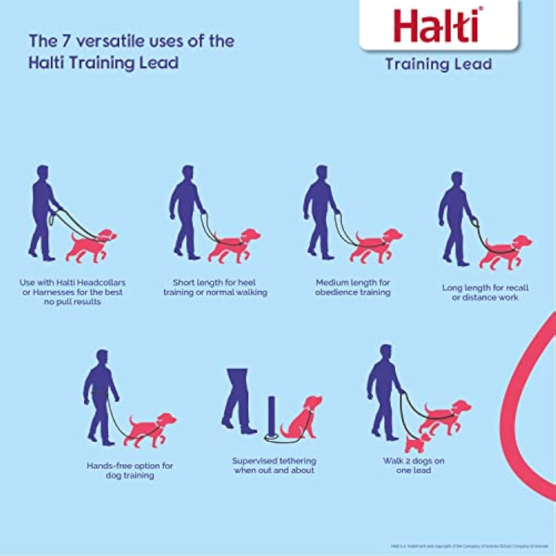 HALTI No Pull Harness & Training Leash Large Combination Pack - Stop Dog Pulling, Black, Adjustable, Lightweight, Easy to Use for Large Dogs