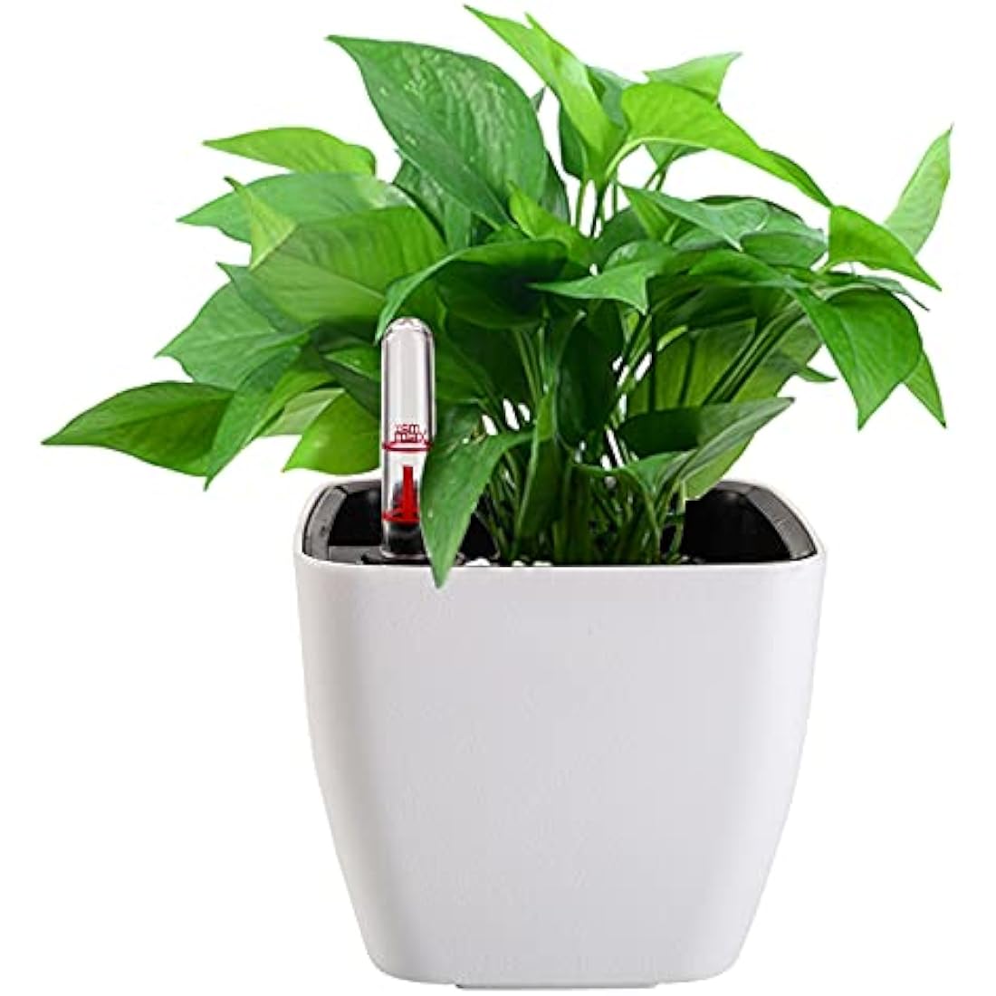 yarlung 6 Pack Self Watering Planter with Water Level Indicator, 5 Inch/12.7cm Plastic Plant Flower Pots Nested Container for Indoor Plants, Herbs, Aloe, Outdoor Gardening
