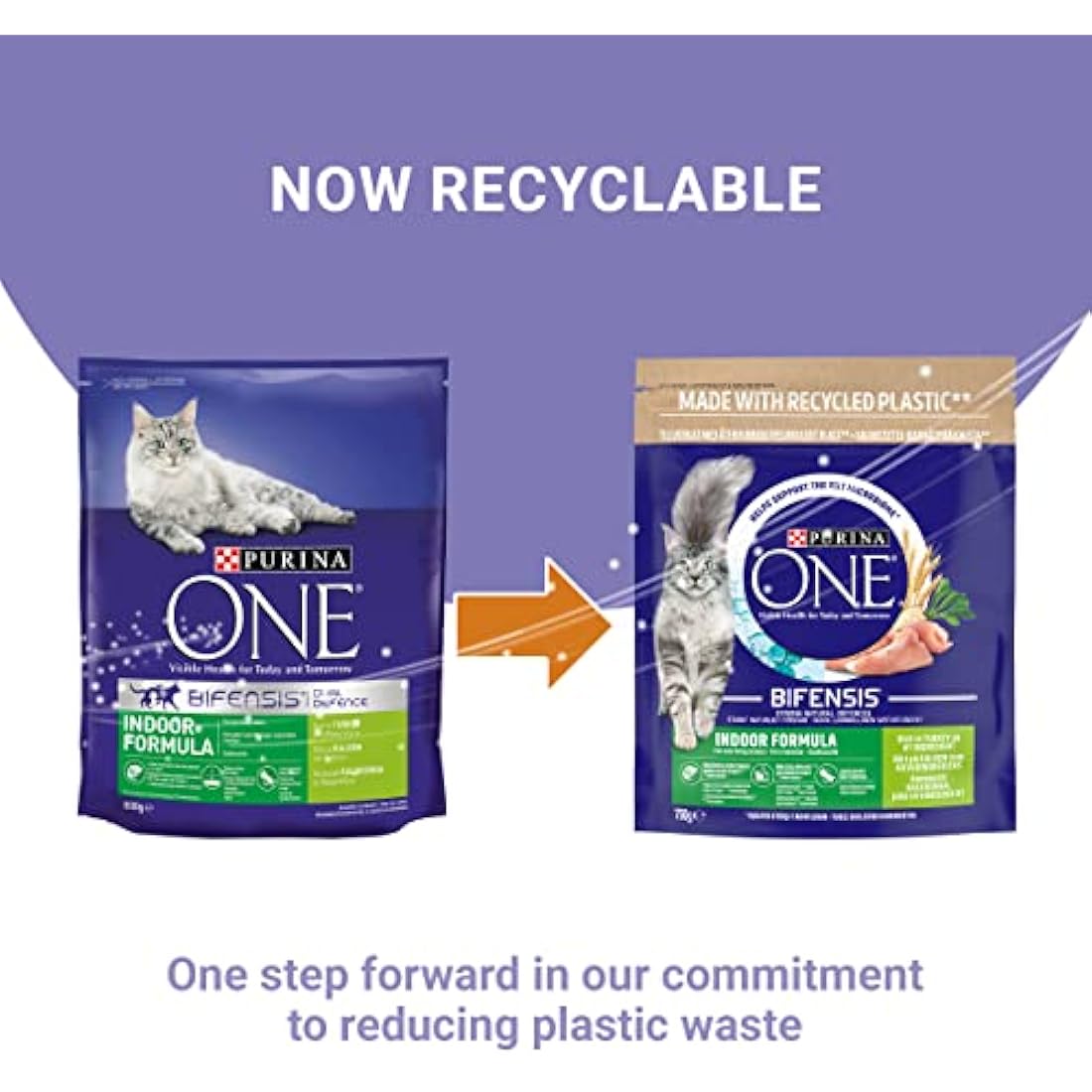 PURINA ONE Indoor Turkey Dry Cat Food 750g (Pack of 4)