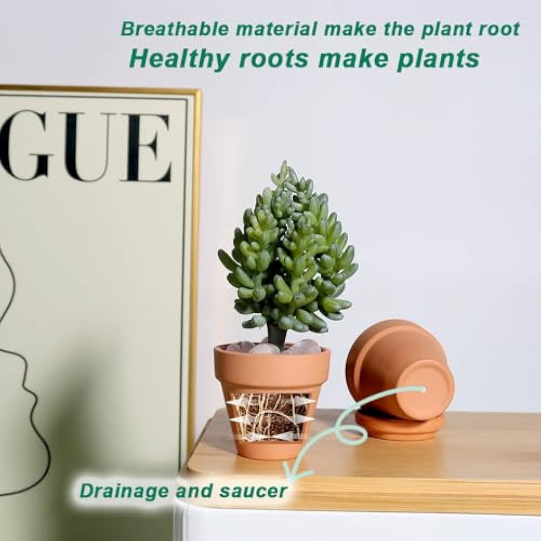 vensovo 48 Pcs Tiny Terracotta Pots - 5CM Small Mini Clay Pots with Drainage Holes for Indoor/Outdoor Succulent Plants, Crafts, Wedding Favor