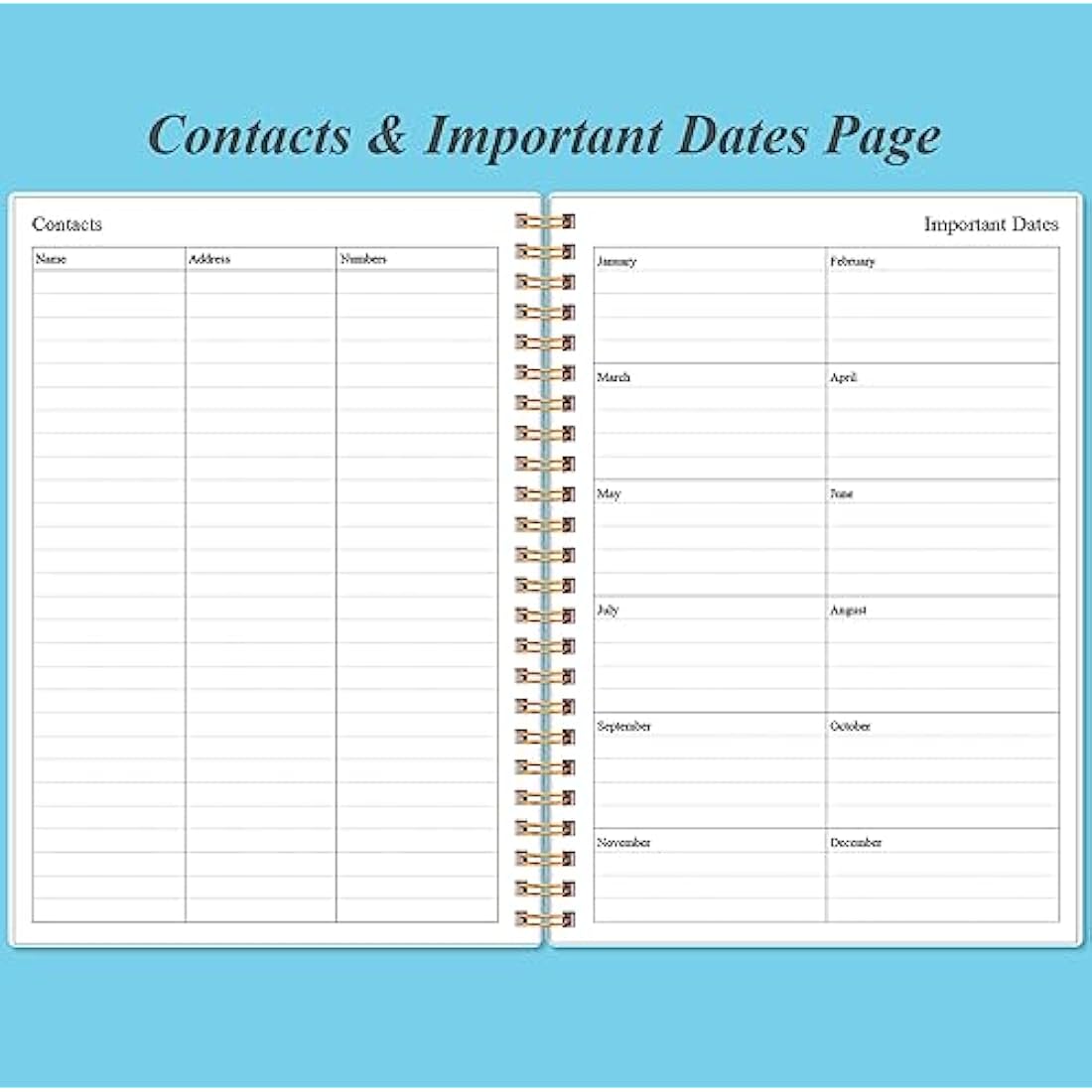Daily Planner Undated - A5 To Do List Notebook Hourly Schedules, Spiral Appointment Planner for Women and Men, PVC Hardcover, Inner Pocket, Elastic Closure, 5.8" x 8.5", Blue Watercolor