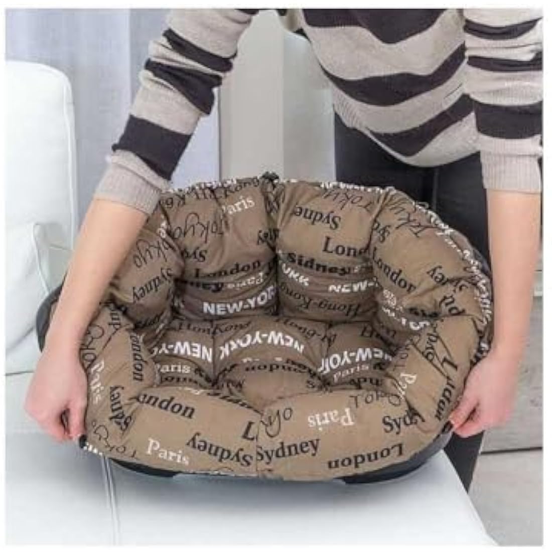Ferplast Plastic Dog and Cat Bed with Padded Dog and Cat Cushion SOFA' Dog Bed with Padded Cushion, Washable, 64 x 48 x 25 cm