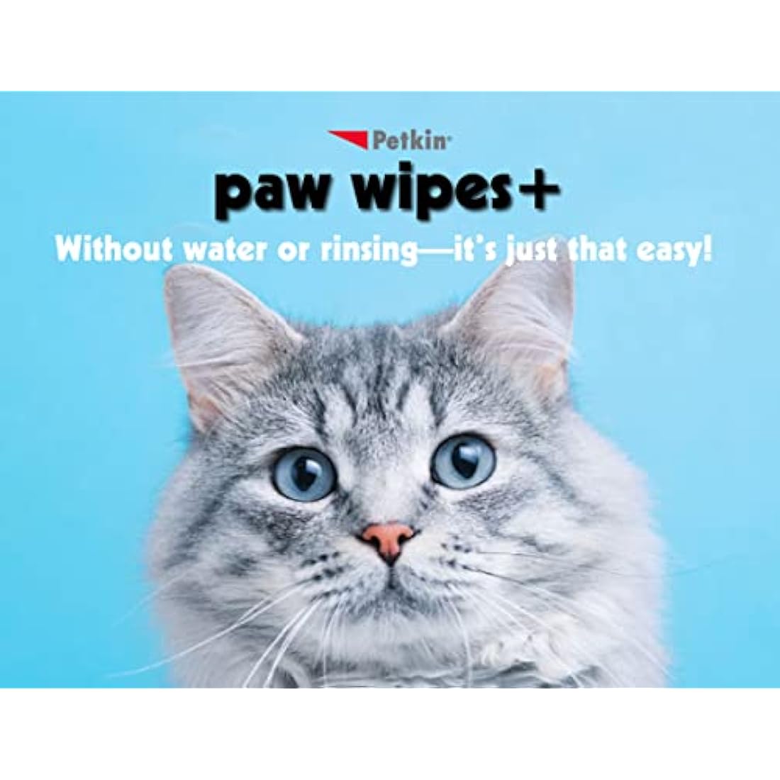 Petkin Paw Wipes, White, 100 Count (Pack of 1)