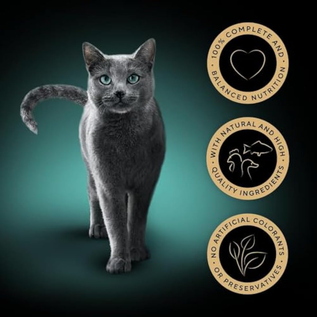 Sheba Sauce Lover Cat Food Trays Mixed Collection 32x85g